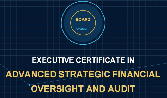 Advanced Strategic Financial Oversight & Audit for Board Members
